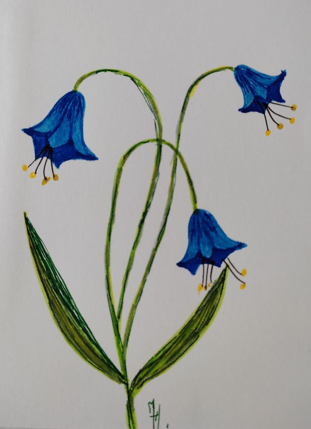 Dessin de fleur bleues Home-organiser-coach-en-rangement-organisation-l-Bonheur-au-logis Val de Marne 94